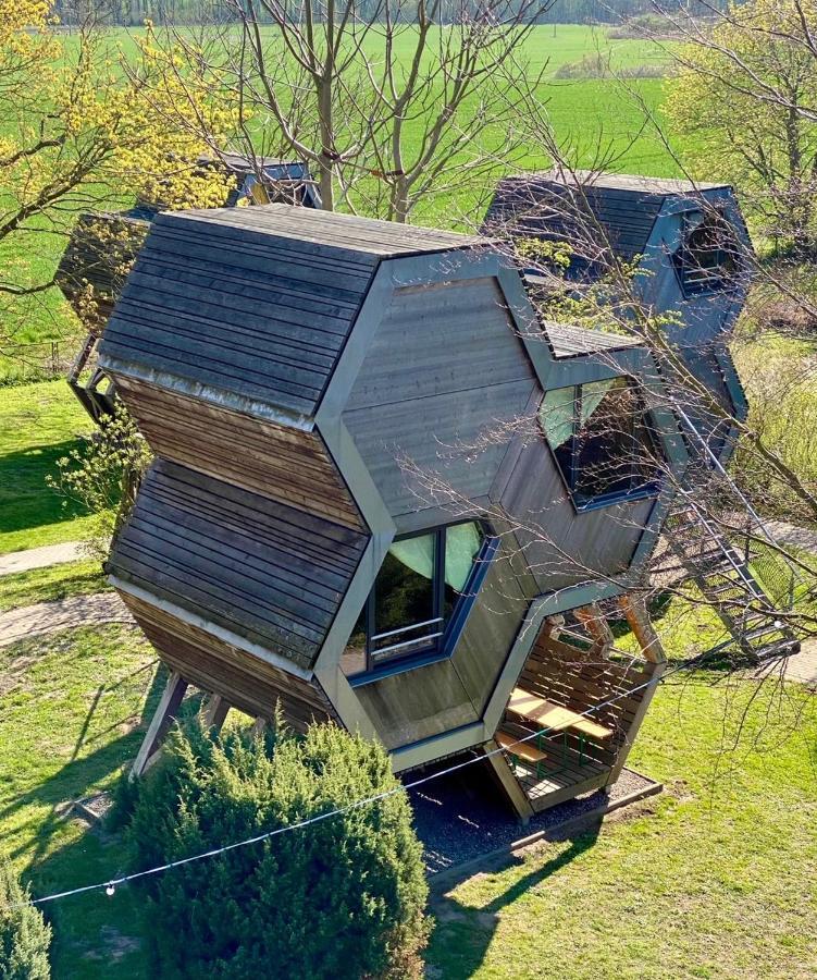 Gruene Wiek Wabenhausherberge Beckerwitz Gramkow Экстерьер фото